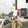 Mayor Overrides Community Board To Build Bike Lanes On "Boulevard Of Death"
